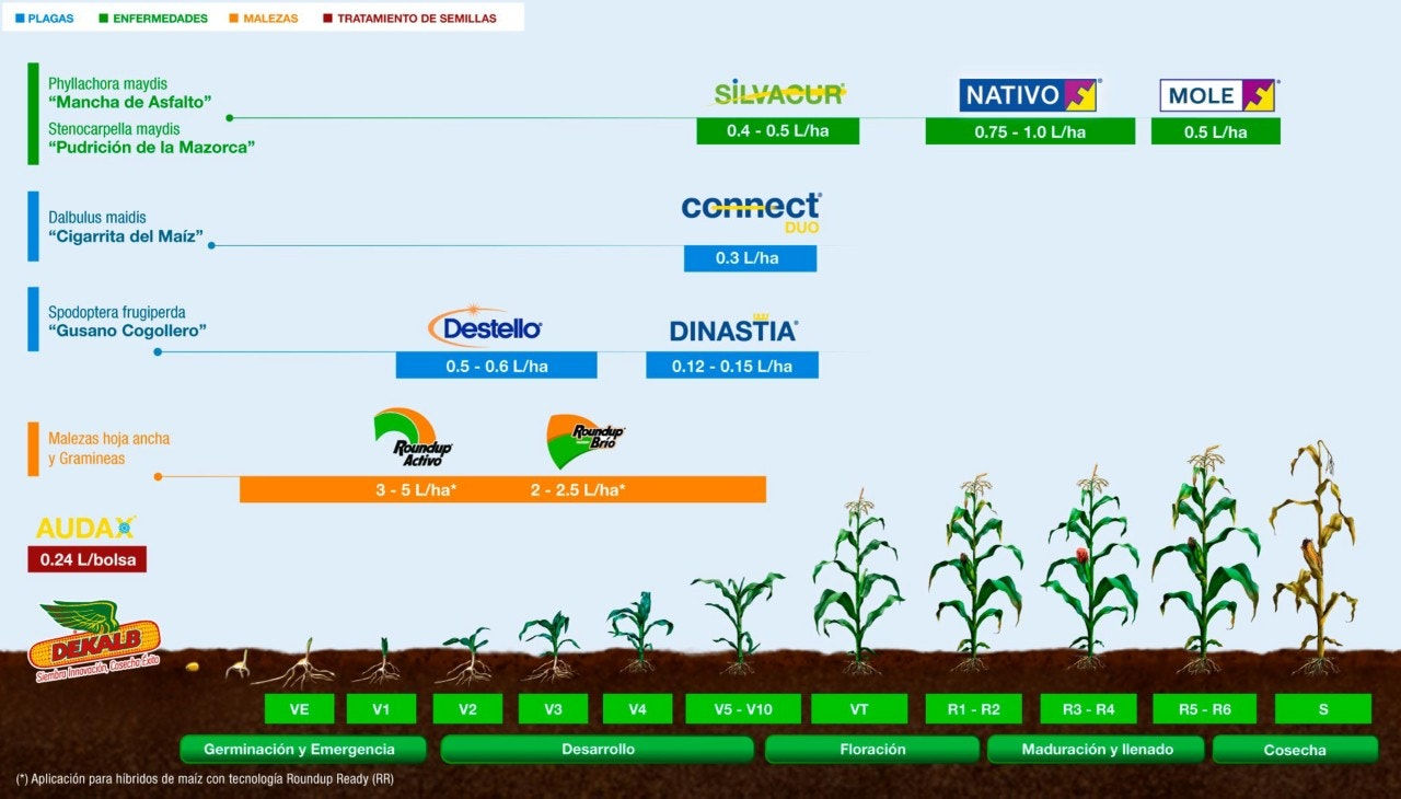 DEKALB - Buenas prácticas agrícolas